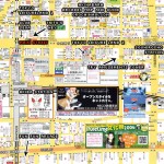 Large Map